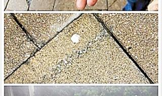 直击广州下冰雹 直击广州下冰雹